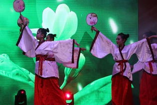 溫泉中學(xué)隆重舉辦70周年慶典文藝演出暨頒獎(jiǎng)晚會(huì) 組圖